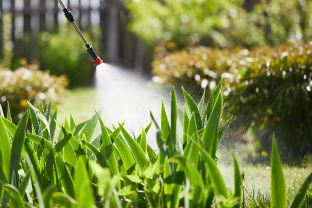 Tamper-Resistant Bait Stations for Rodents in Canton