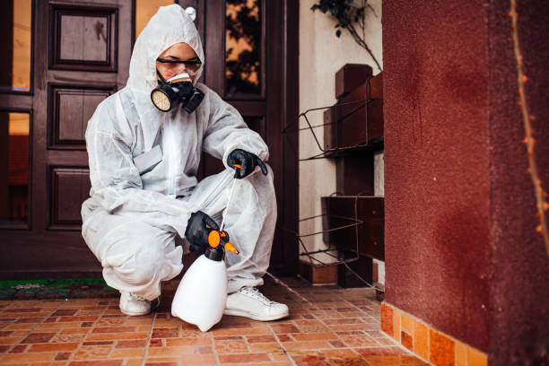 Attic and Crawl Space Rodent Treatment in Canton